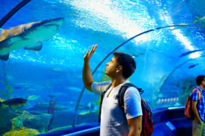 Zoo Senses Public Needs