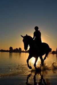 To Ride is to Breathe