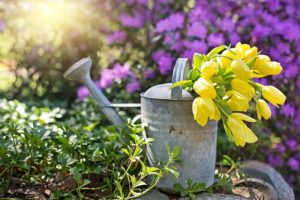 Spring in to Gardening