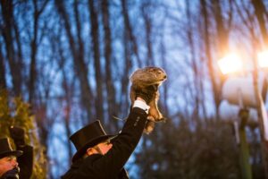 To See, or Not to See… Happy Groundhog Day!