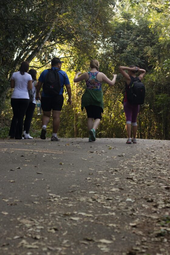 Photo of five people dressed in active wear walking along a paved path surrounded by nature. The path is shaded but the sun is bright like a summer day. 
