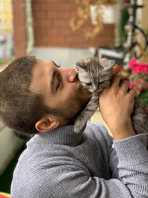 Photo of young man in a gray turtleneck sweater holing up a gray striped kitten and kissing the kitten near cheek, neck as the kitten looks sweetly down. 