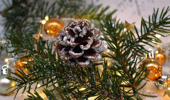 Photo of evergreen pine with pinecone covered in glitter and gold and silver ornaments around. 