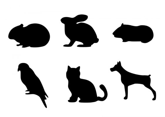 Black Silhouette icons of 6 pets: guinea pig, rabbit, hamster, bird, cat, dog. 