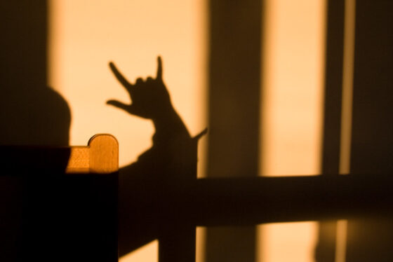 Photo of a neutral colored wall with light and shadow alternating in bands. There is a shadow silhouette of someone's raised hand in the "I Love You" sign in American Sign Language.  
