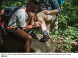Outdoor Safety in the Summer: Avoid Tickborne Diseases