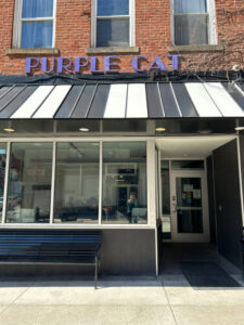 The Amazing Purple Cat