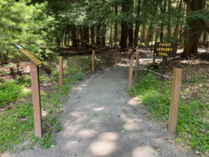 The Sensory Trail: A Trail for All