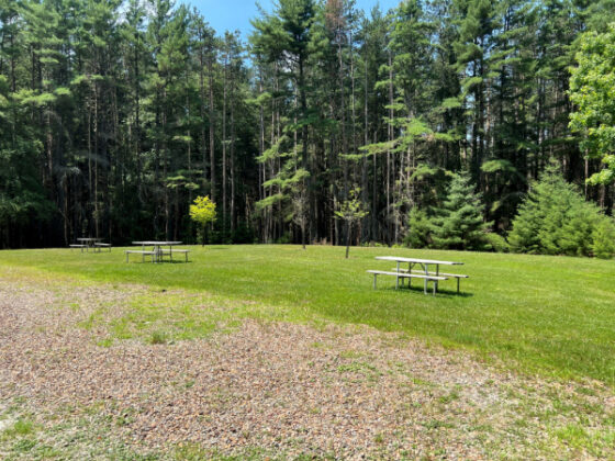 Trail picnic area - wide grassy open area with picnic branches and surrounding trees photo by author, Denise Quinn