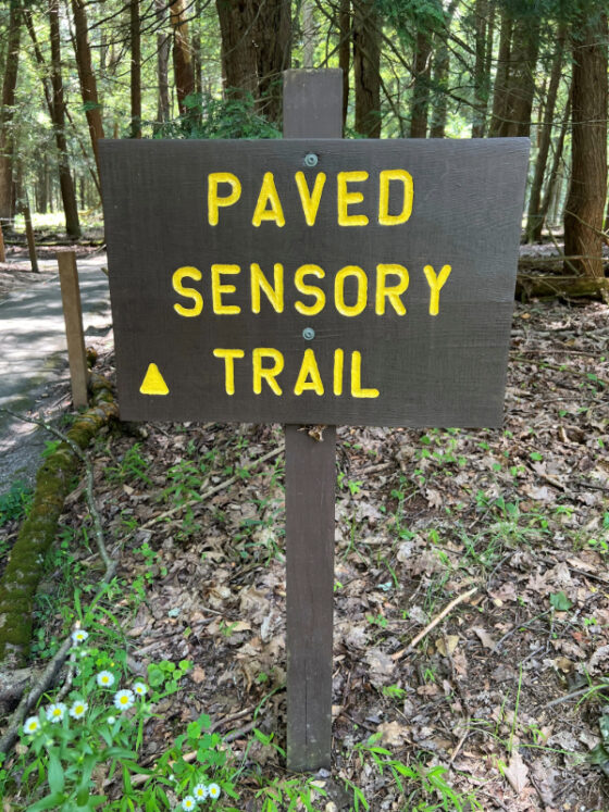 Trail and sign in yellow letters "Paved Sensory Trail" photo by author, Denise Quinn
