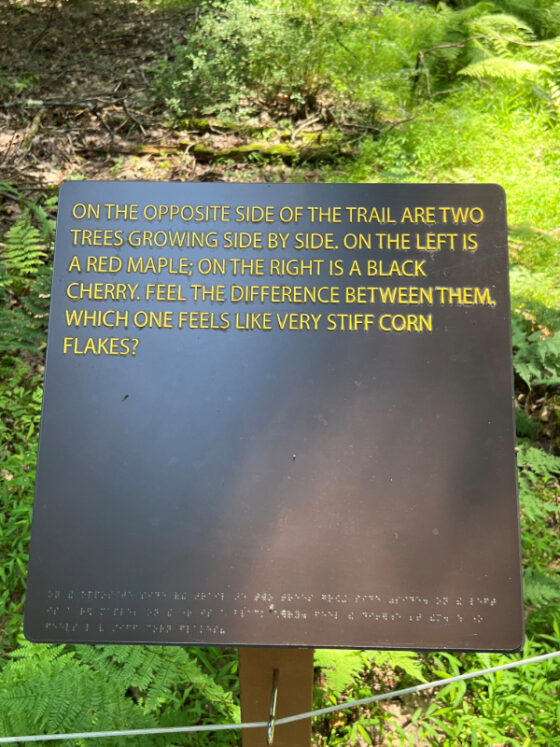 Sign in yellow letters describing surrounding area "On the Opposite side of the trail are two trees growing side by side on the left is a red maple on the right is a black cherry. Feel the difference between them which one feels like very stiff corn flakes? photo by author, Denise Quinn