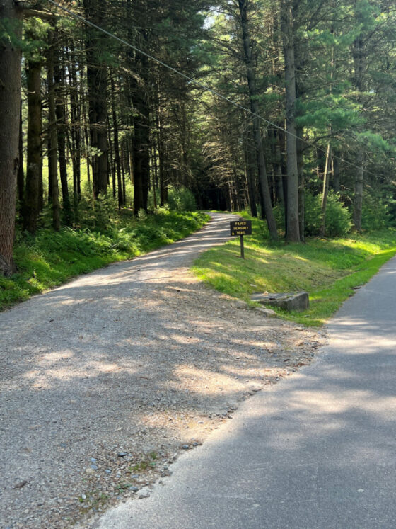 Trail entrance from the road photo by author, Denise Quinn