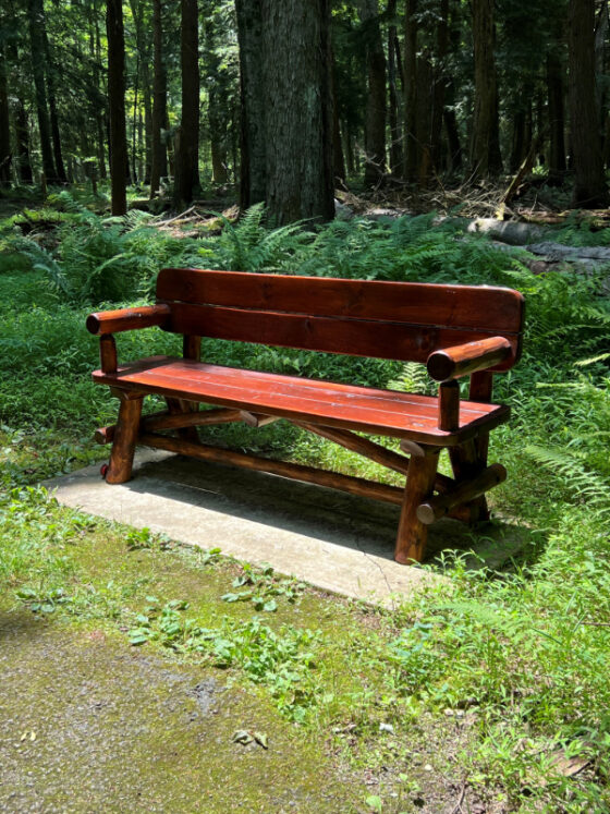 Red bench amongst the shaded trail photo by author, Denise Quinn